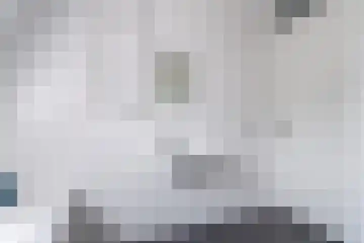 De Remize 6 Stiens thumbnail 38