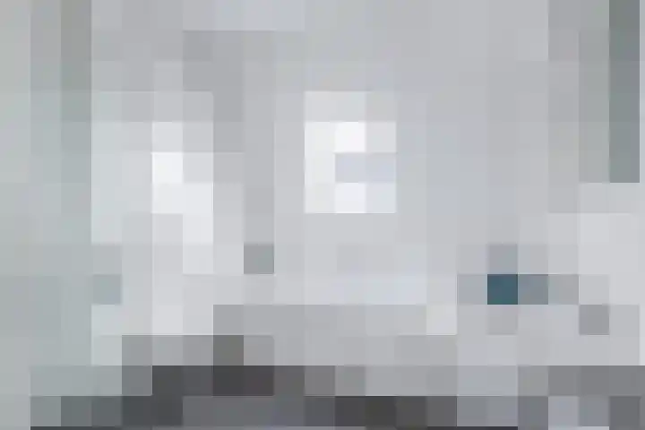 De Remize 6 Stiens thumbnail 40