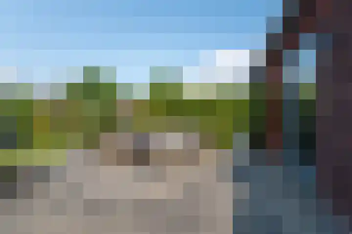 De Remize 6 Stiens thumbnail 42