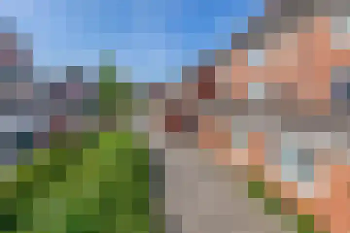 De Remize 6 Stiens thumbnail 52