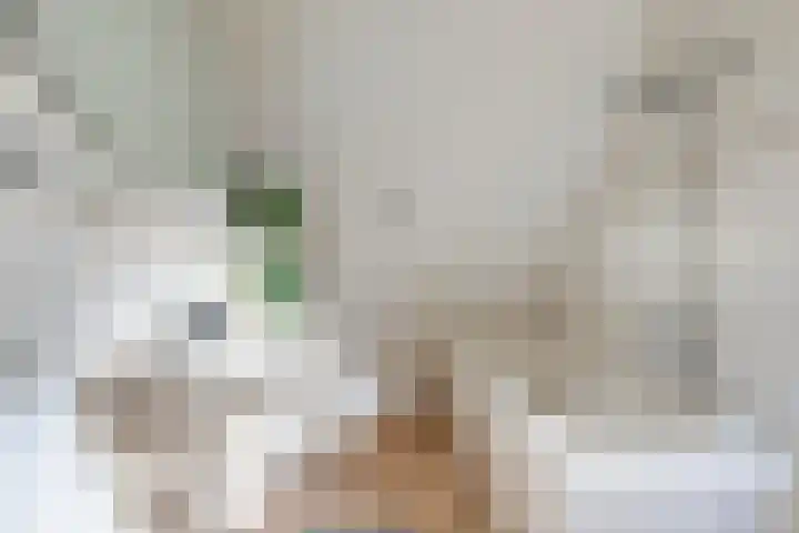 De Remize 6 Stiens thumbnail 54