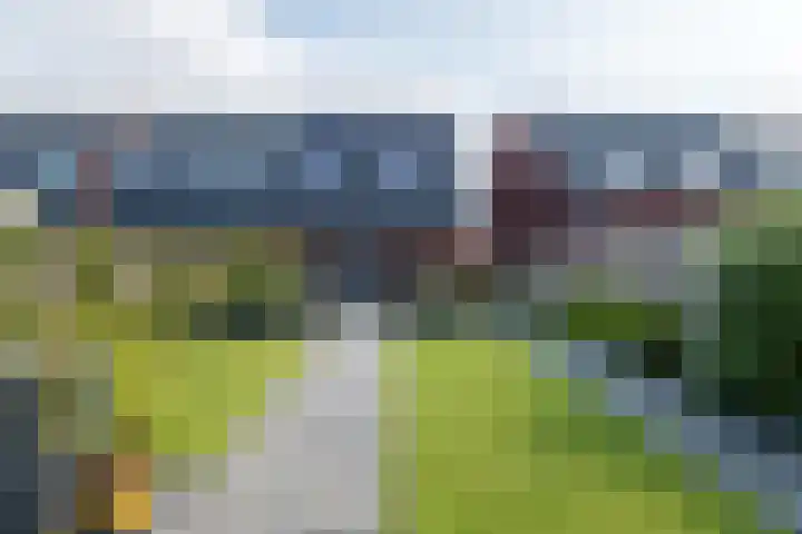 De Remize 6 Stiens thumbnail 59