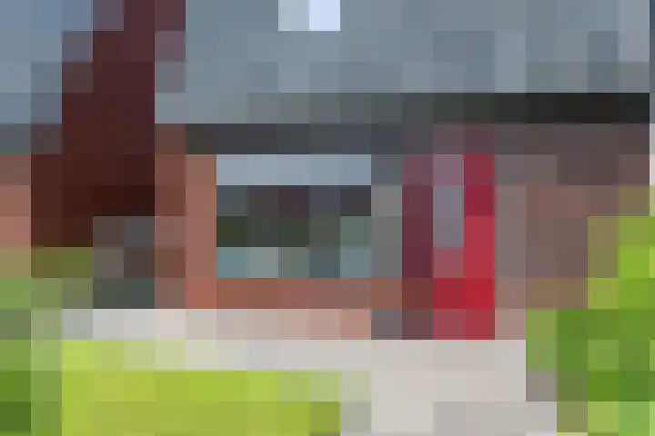 De Remize 6 Stiens thumbnail 6