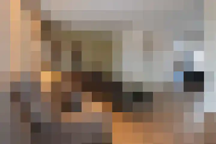 De Reuzelaar 4 Hoeven thumbnail 14