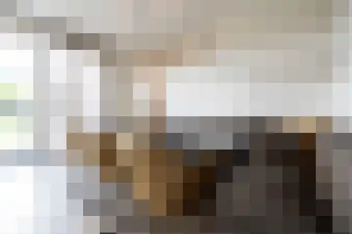 De Reuzelaar 4 Hoeven thumbnail 22