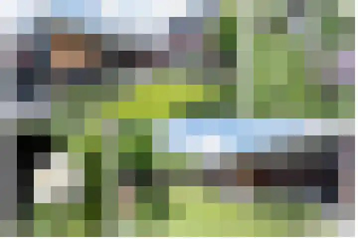 De Reuzelaar 4 Hoeven thumbnail 24