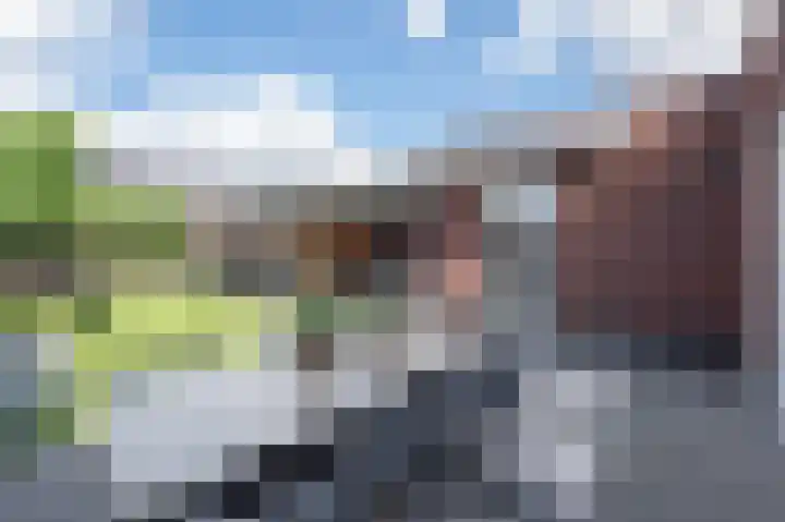 De Reuzelaar 4 Hoeven thumbnail 27