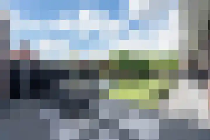 De Reuzelaar 4 Hoeven thumbnail 28