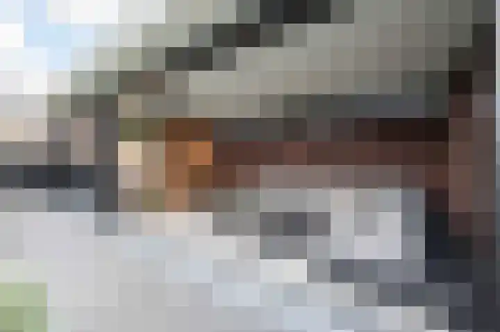 De Reuzelaar 4 Hoeven thumbnail 30