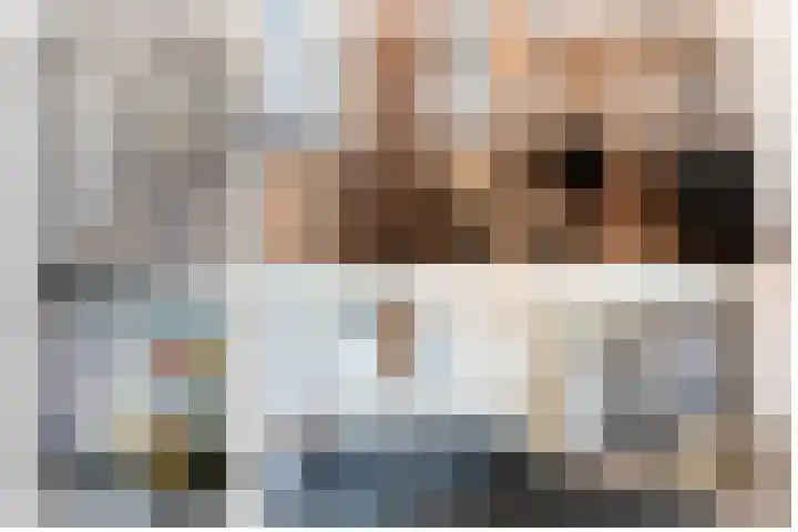De Reuzelaar 4 Hoeven thumbnail 43