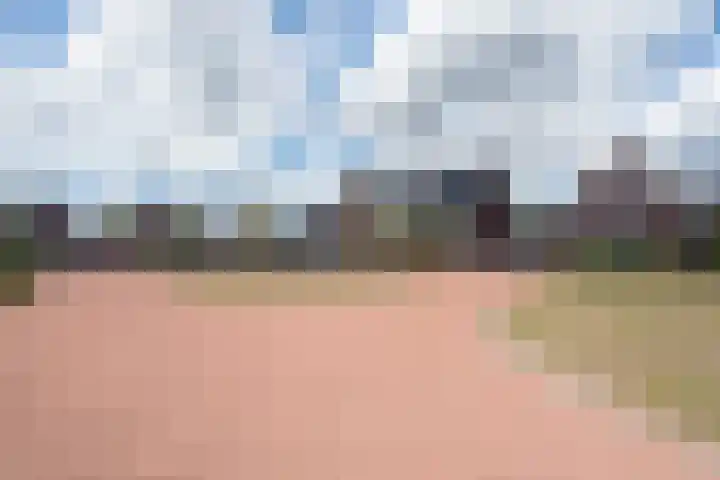 De Reuzelaar 4 Hoeven thumbnail 5