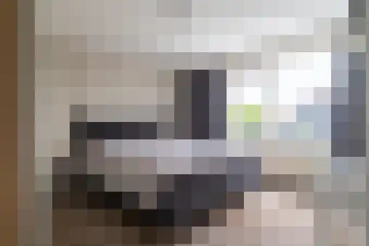 de Ridderstraat 8 Almkerk thumbnail 17