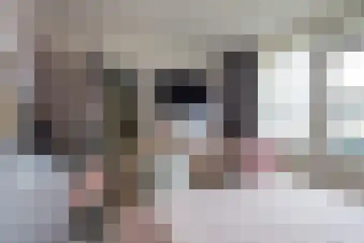 de Ridderstraat 8 Almkerk thumbnail 20