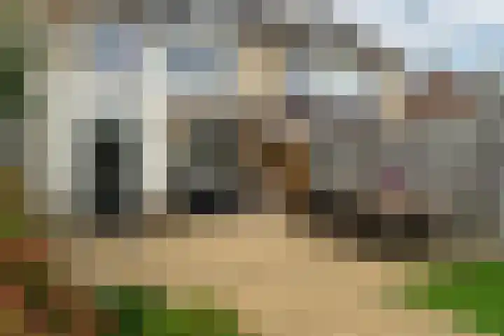 de Ridderstraat 8 Almkerk thumbnail 31