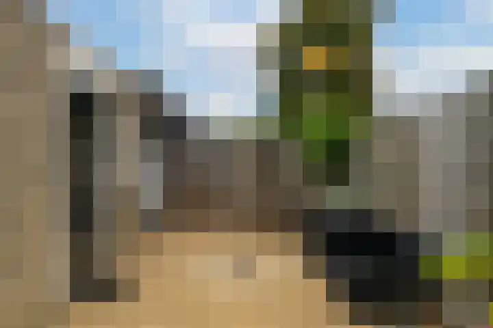 de Ridderstraat 8 Almkerk thumbnail 33