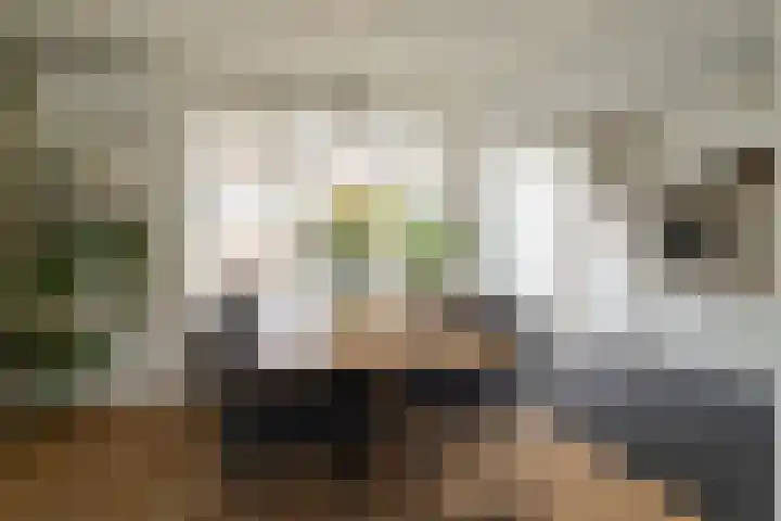 de Ridderstraat 8 Almkerk thumbnail 9