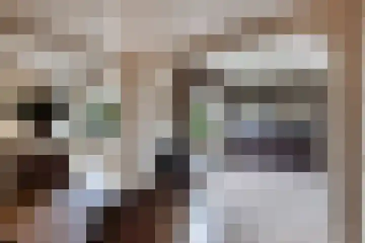 De Rien 54 Drachten thumbnail 14