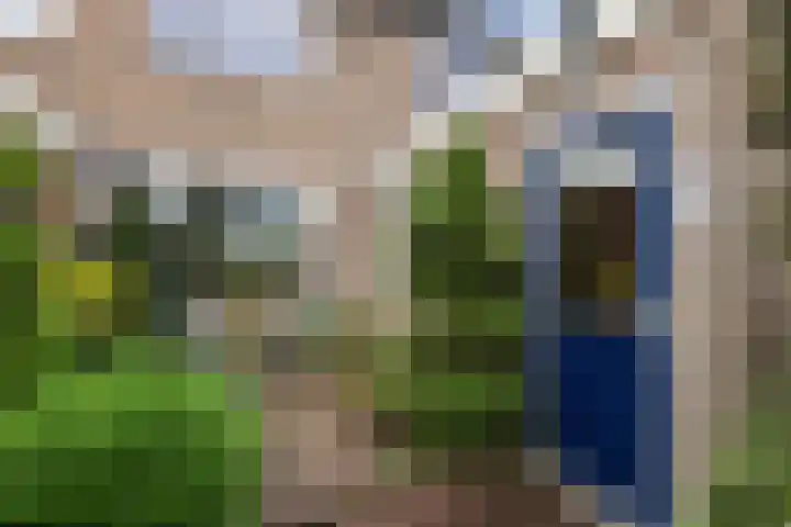 De Rien 54 Drachten thumbnail 22