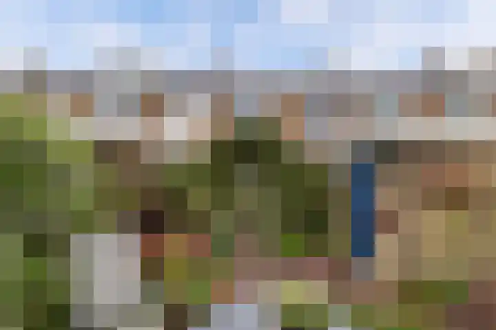 De Rien 54 Drachten thumbnail 39