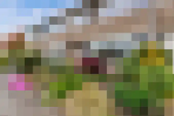 De Rien 54 Drachten thumbnail 4