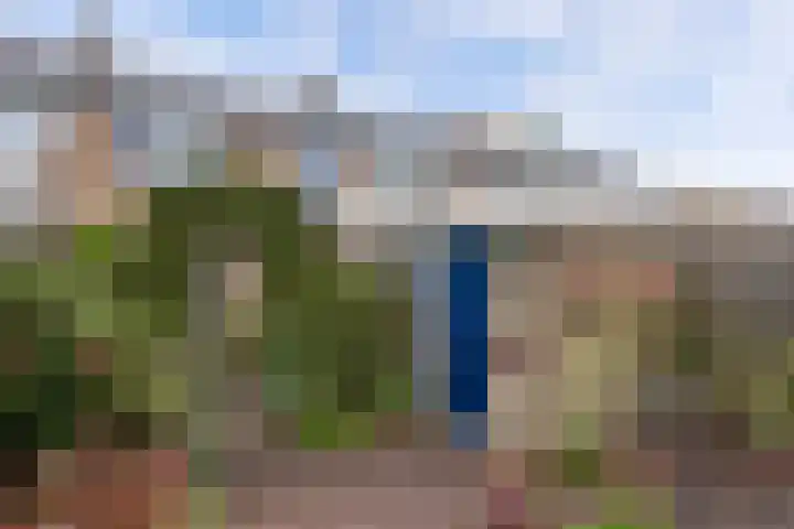 De Rien 54 Drachten thumbnail 43