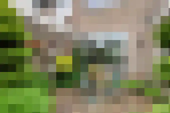 De Rien 54 Drachten thumbnail 44