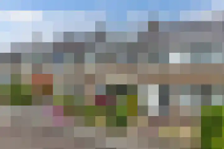 De Rien 54 Drachten thumbnail 46