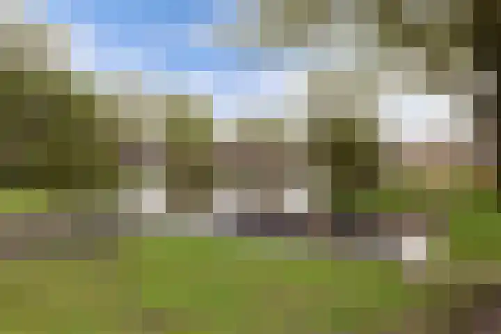 De Rien 54 Drachten thumbnail 47