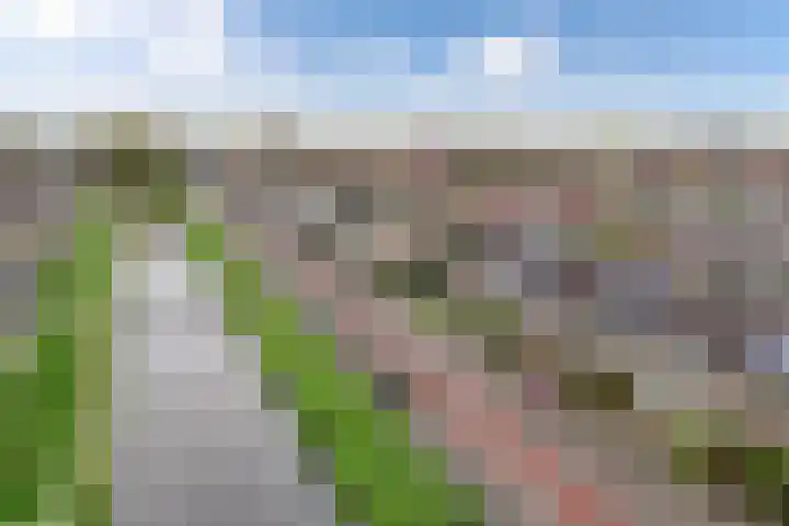 De Rien 54 Drachten thumbnail 51