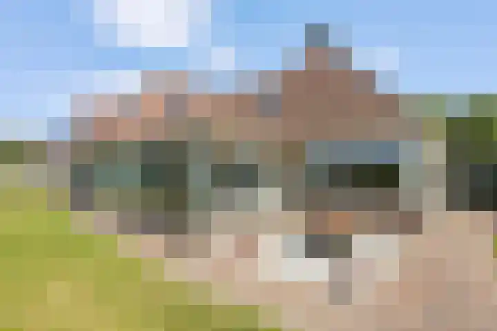 De Rietgans 12 Harlingen thumbnail 40