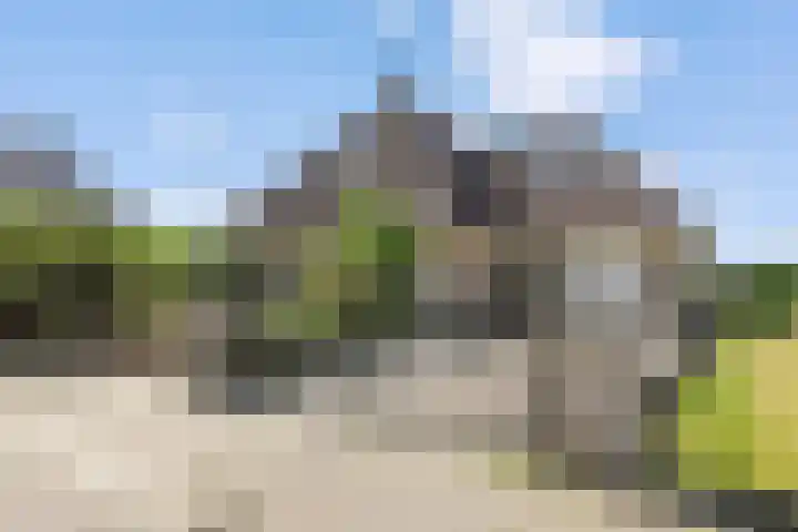 De Rietgans 12 Harlingen thumbnail 5