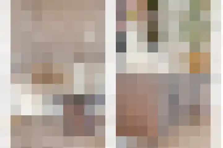 De Rietgans 16 Dedemsvaart thumbnail 10