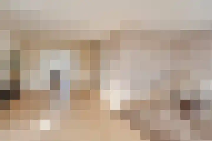 De Rietgans 16 Dedemsvaart thumbnail 11