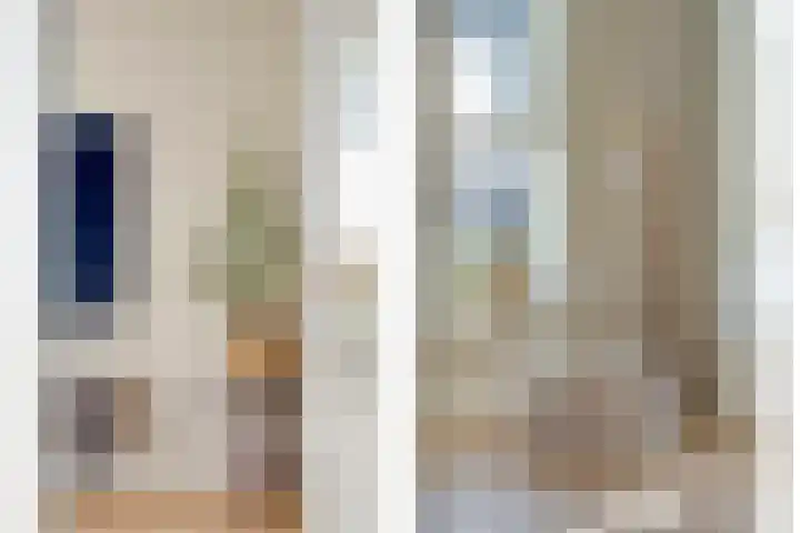 De Rietgans 16 Dedemsvaart thumbnail 13
