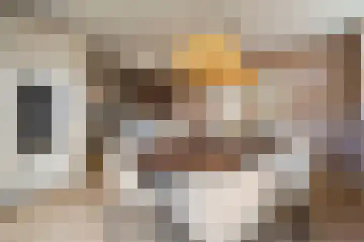 De Rietgans 16 Dedemsvaart thumbnail 15
