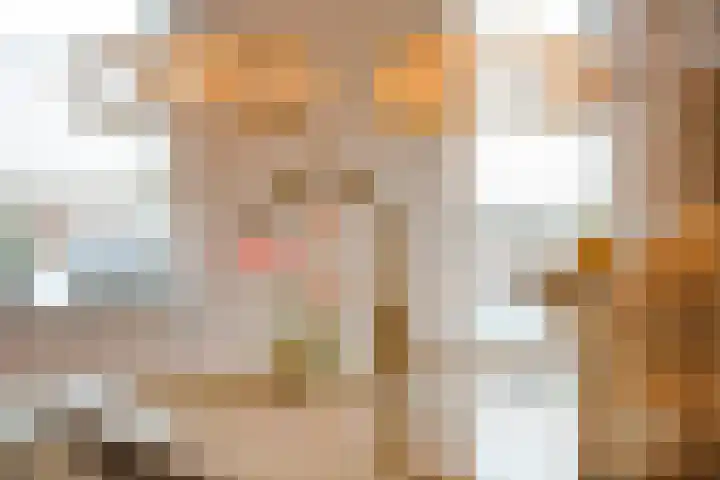 De Rietgans 16 Dedemsvaart thumbnail 19