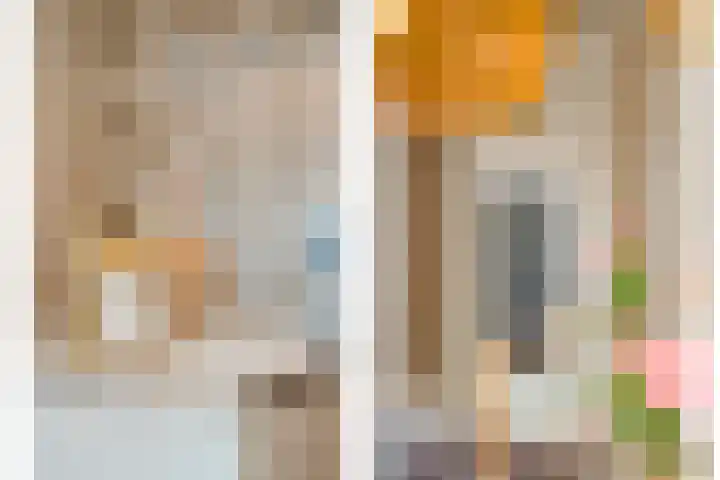 De Rietgans 16 Dedemsvaart thumbnail 20