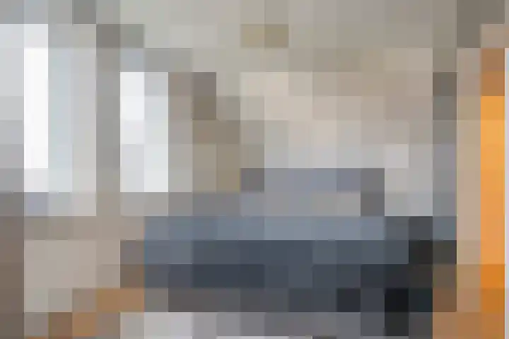 De Rietgans 16 Dedemsvaart thumbnail 23