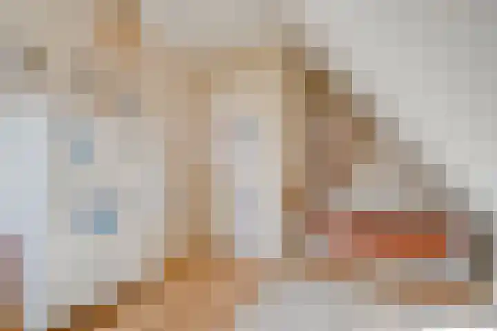 De Rietgans 16 Dedemsvaart thumbnail 26