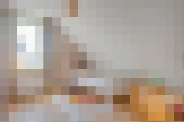 De Rietgans 16 Dedemsvaart thumbnail 27
