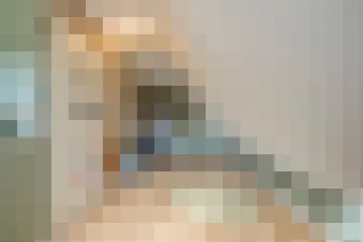 De Rietgans 16 Dedemsvaart thumbnail 30