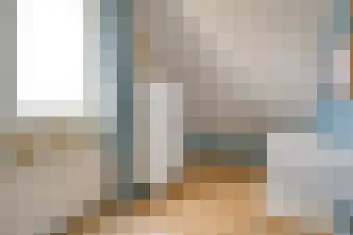 De Rietgans 16 Dedemsvaart thumbnail 31