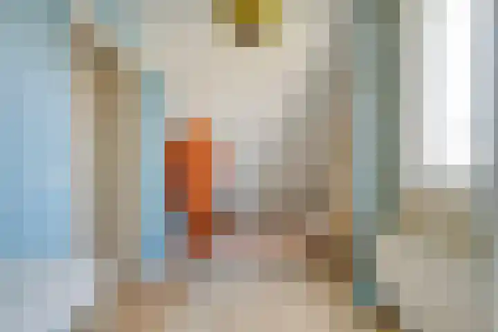 De Rietgans 16 Dedemsvaart thumbnail 32