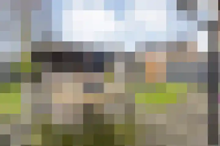 De Rietgans 16 Dedemsvaart thumbnail 38