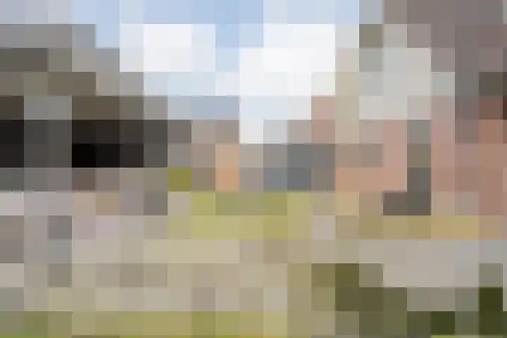 De Rietgans 16 Dedemsvaart thumbnail 39