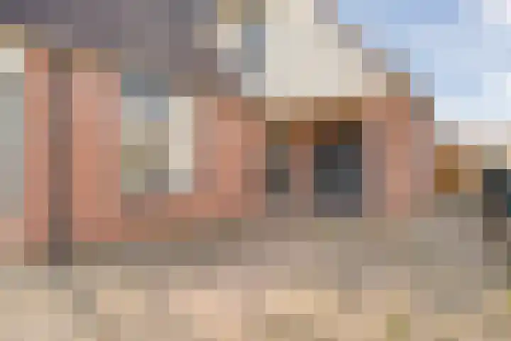 De Rietgans 16 Dedemsvaart thumbnail 4