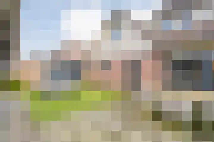 De Rietgans 16 Dedemsvaart thumbnail 40