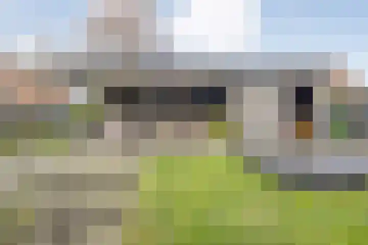 De Rietgans 16 Dedemsvaart thumbnail 42