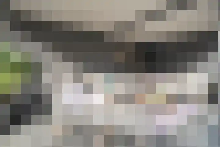 De Rietgans 16 Dedemsvaart thumbnail 43
