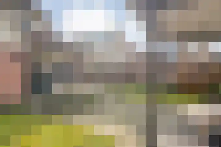De Rietgans 16 Dedemsvaart thumbnail 44